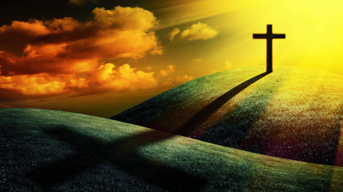 Religious beliefs